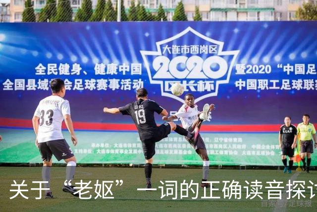 关于“老妪”一词的正确读音探讨